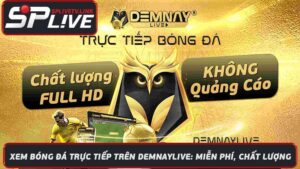 Xem Bóng Đá Trực Tiếp Trên Demnaylive Miễn Phí, Chất Lượng